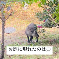 画像290