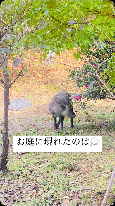 画像290