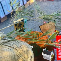 画像306