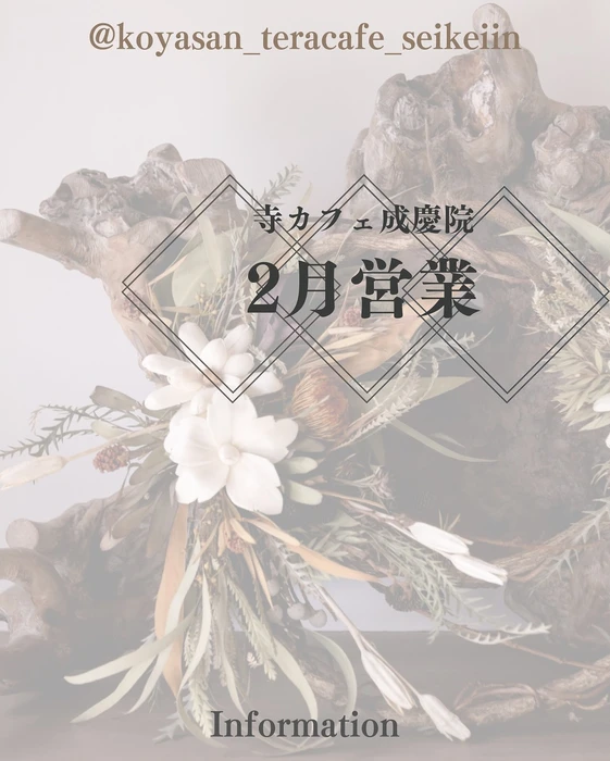 画像318