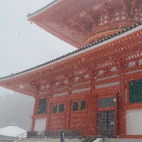 画像333