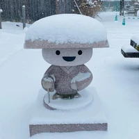 画像334
