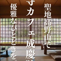 画像430