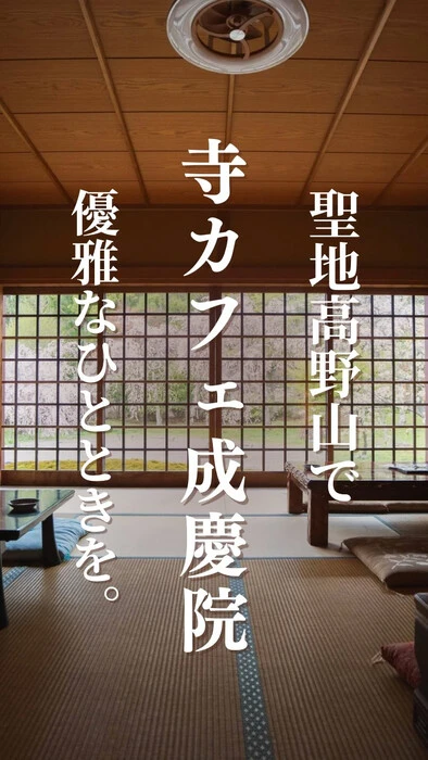 画像430