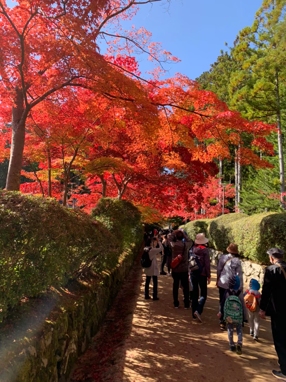 庭園の美しさと季節の風情