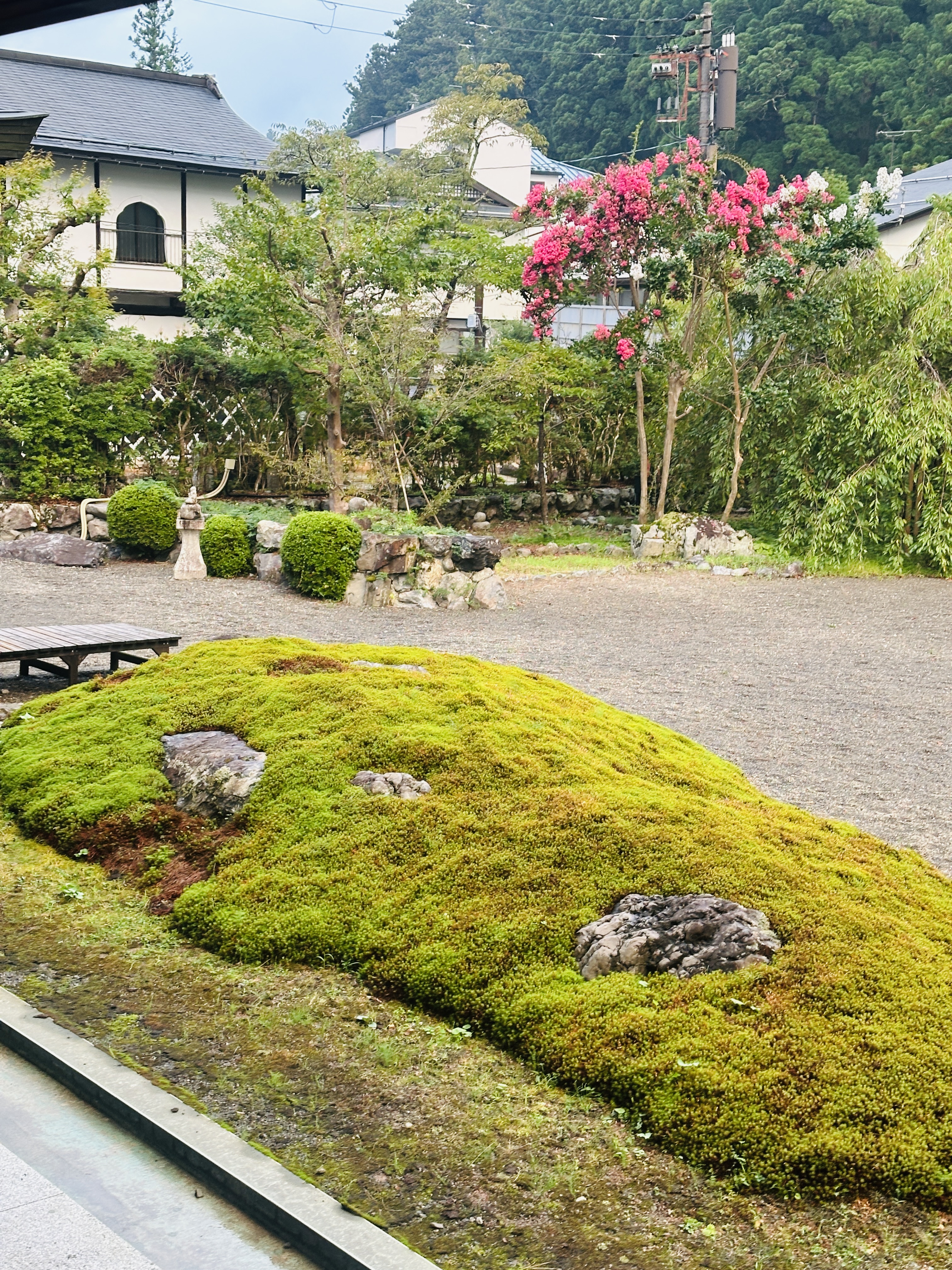 高野山の心を感じる、精進料理と抹茶スイーツの憩いの場