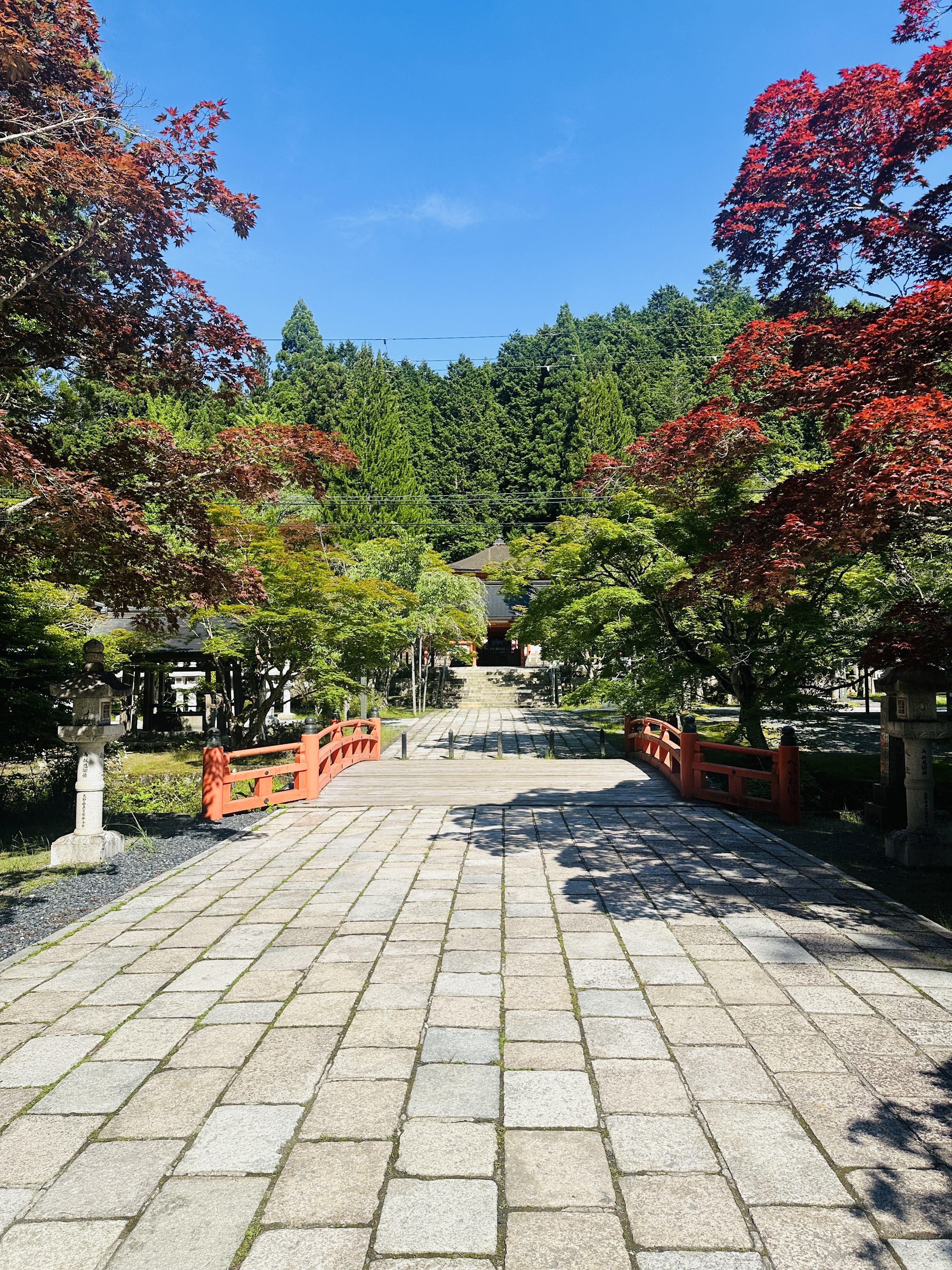 4. 散策のすすめ